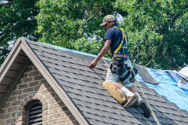 Best Local Roofing Companies  in Carnegie, PA